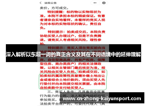 深入解析以东超一词的真正含义及其在不同语境中的延伸理解 深入解析以东超一词的真正含义及其在不同语境中的延伸理解