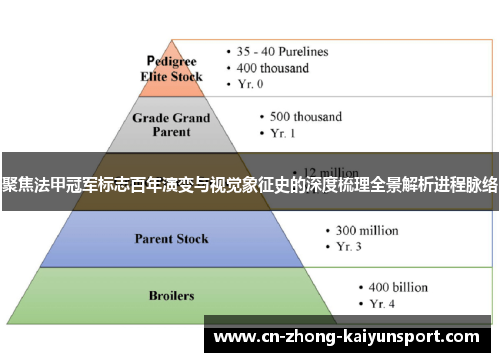 聚焦法甲冠军标志百年演变与视觉象征史的深度梳理全景解析进程脉络 聚焦法甲冠军标志百年演变与视觉象征史的深度梳理全景解析进程脉络