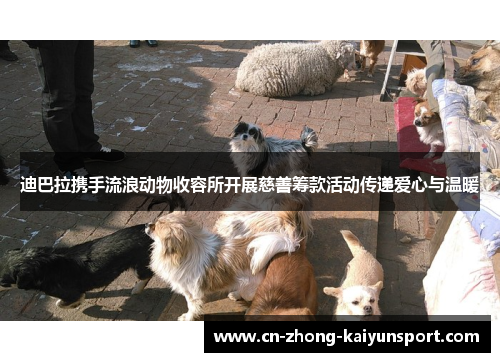迪巴拉携手流浪动物收容所开展慈善筹款活动传递爱心与温暖 迪巴拉携手流浪动物收容所开展慈善筹款活动传递爱心与温暖